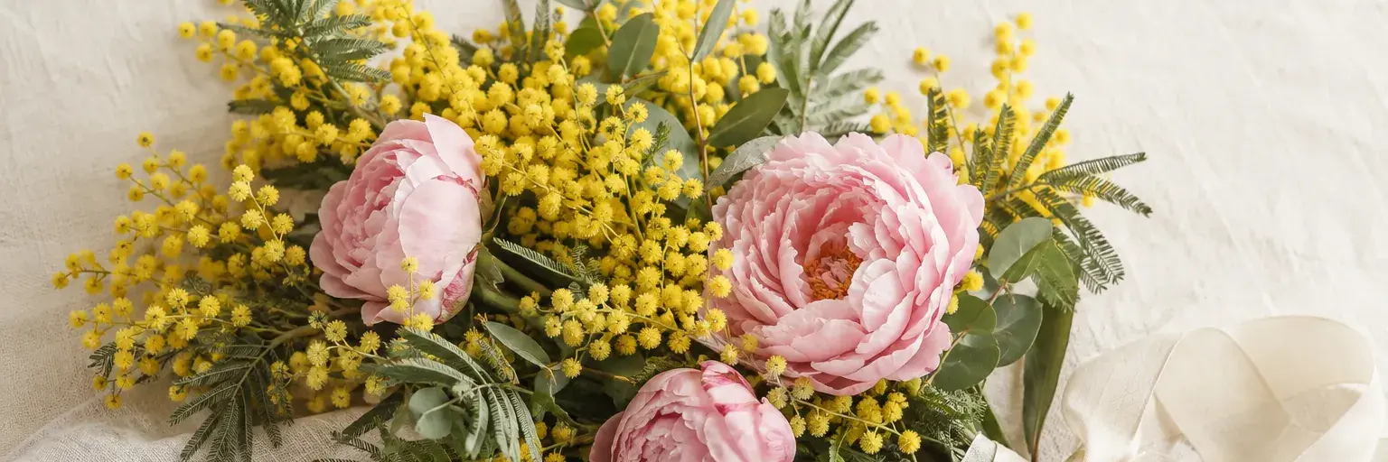 Gelbe Mimose und rosa Pfingstrosen mit einem elfenbeinfarbenen Band auf Leinen.