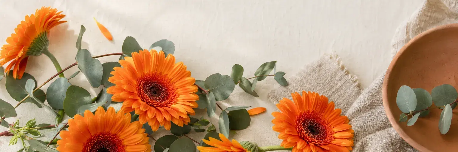 Orangefarbene Gerbera und Eukalyptus neben einer Terrakottaschale.