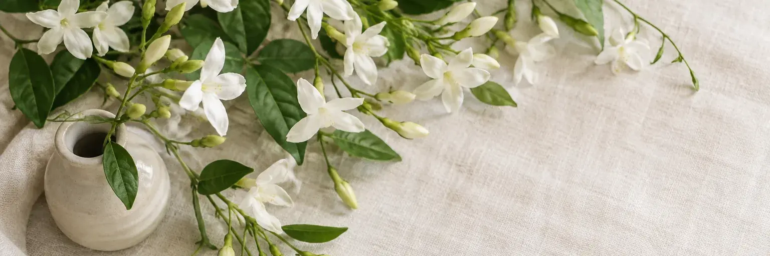 Weiße Jasminblüten an grünen Zweigen neben einer kleinen Keramikvase.