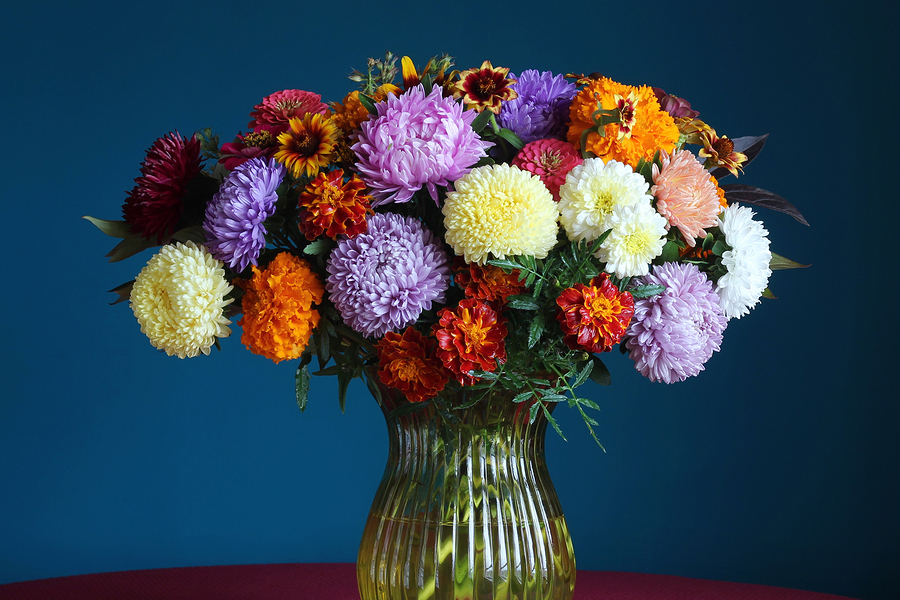 Öko für die Vase BioBlumen versenden Blumenversand24