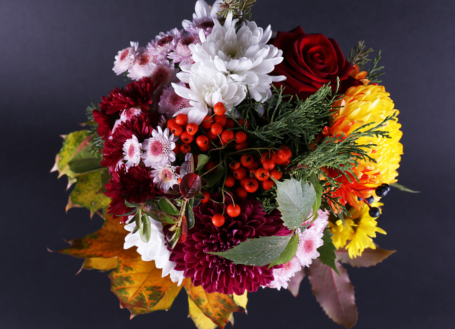 Testsieger beim Versenden von Blumen Blumenversand24