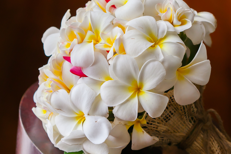 Blumen international versenden Blumenversand24