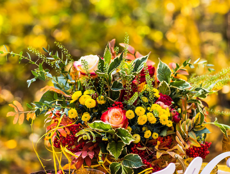 43+ Blumen Versenden Günstig, 4/5         (12k reviews)