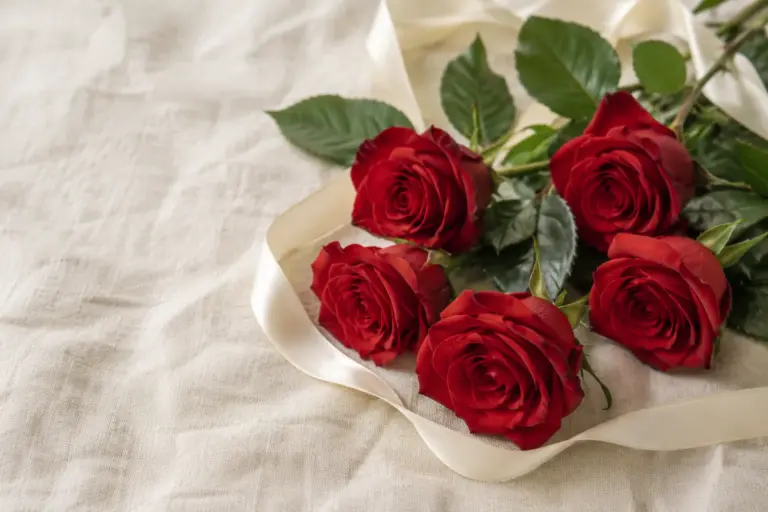 Rote Rosen mit grünen Blättern und einem elfenbeinfarbenen Band auf Leinen.