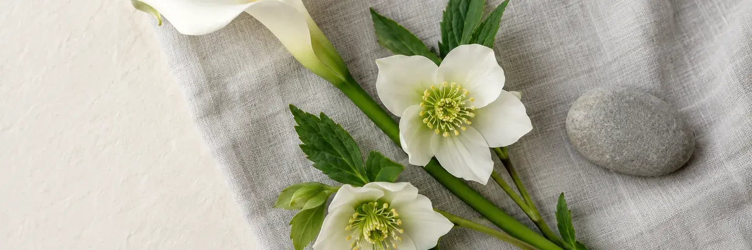 Weiße Calla und Christrosen neben einem glatten grauen Stein auf hellem Leinen.
