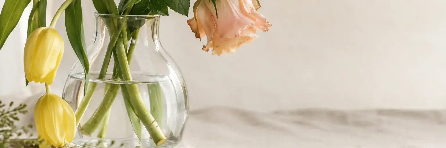 Leicht hängende Rose und gelbe Tulpen in einer Glasvase mit Wasser.