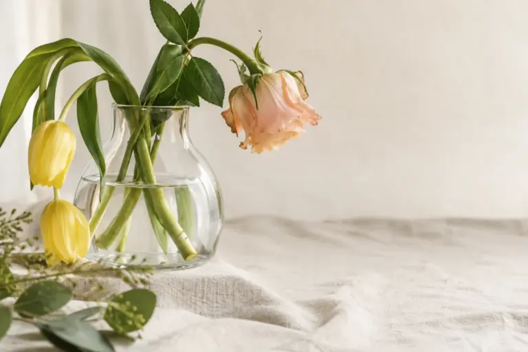 Leicht hängende Rose und gelbe Tulpen in einer Glasvase mit Wasser.